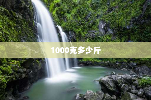 1000克多少斤 1000克是多少斤？