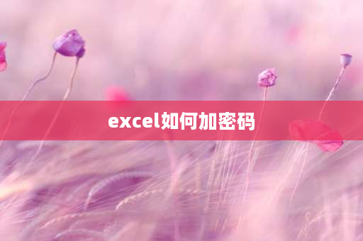 excel如何加密码 excel如何添加密码？