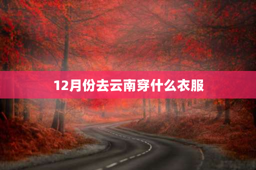 12月份去云南穿什么衣服 12月的云南冷吗？去旅游需要带什么呢？