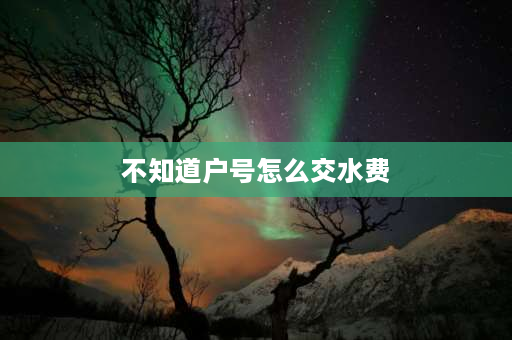 不知道户号怎么交水费 从网上交水费，不知道户号，怎么查询户号？