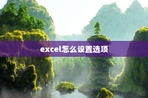 excel怎么设置选项 excel怎么在格内有选择项？