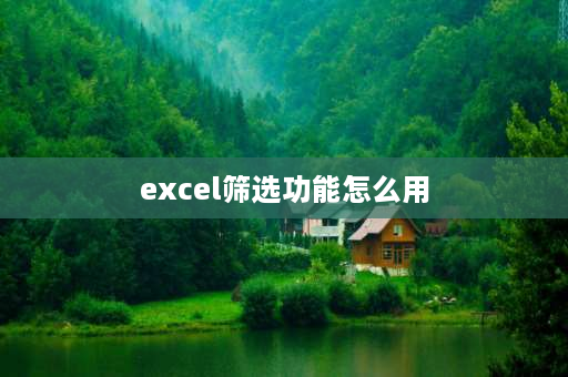 excel筛选功能怎么用 表格怎么设置每格都有筛选？