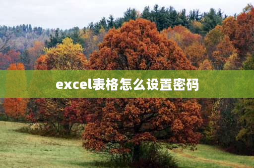 excel表格怎么设置密码 excel文件如何设置密码？