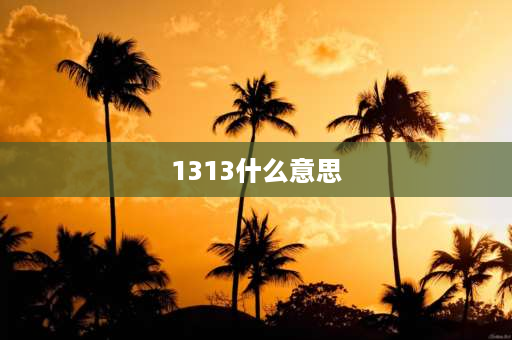 1313什么意思 有什么特殊含义1313？