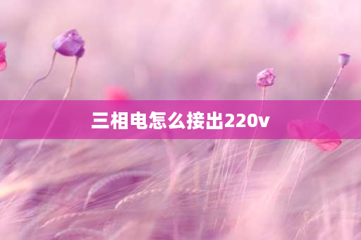 三相电怎么接出220v 三相电表怎么接220的线？