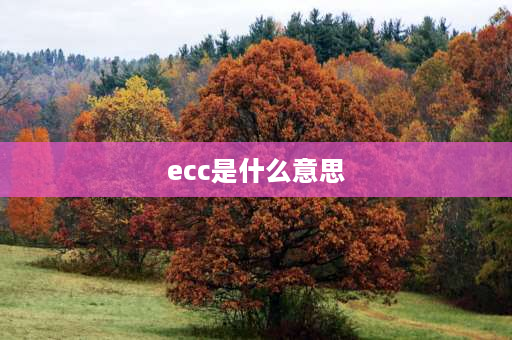 ecc是什么意思 ECC是什么意思？