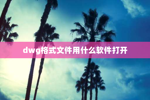 dwg格式文件用什么软件打开 dwg.bin格式用什么软件打开？