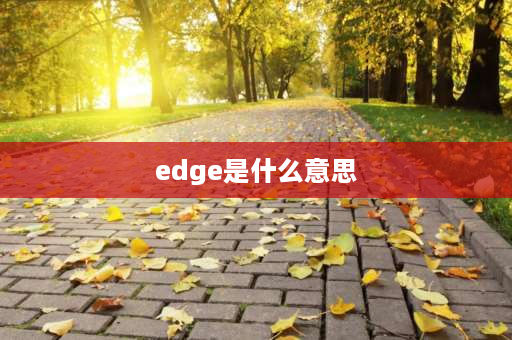 edge是什么意思 EDGE是什么意思啊？