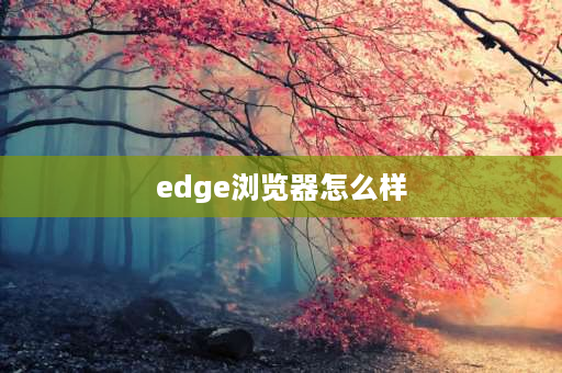 edge浏览器怎么样 edge浏览器为什么进步这么大？