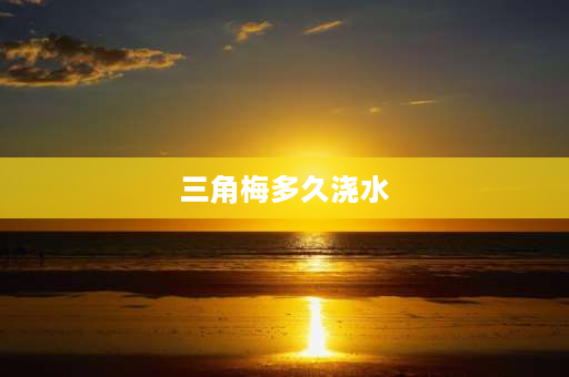 三角梅多久浇水 三角梅需要经常浇水么？