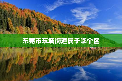 东莞市东城街道属于哪个区 东莞莞城街道是哪个区？