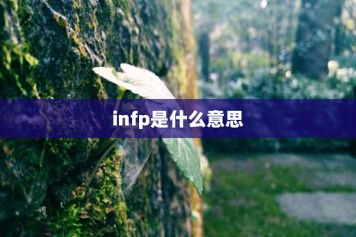 infp是什么意思 和我的infp小公主啥意思？