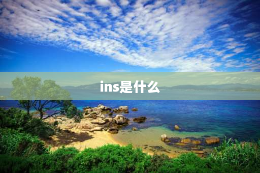 ins是什么 ins是什么意思？