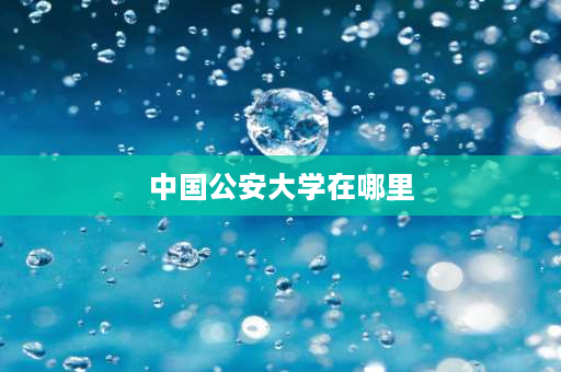 中国公安大学在哪里 中国刑警学院在哪里,是什么样的学校？