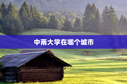 中南大学在哪个城市 中南大学 2021可以进去参观吗？