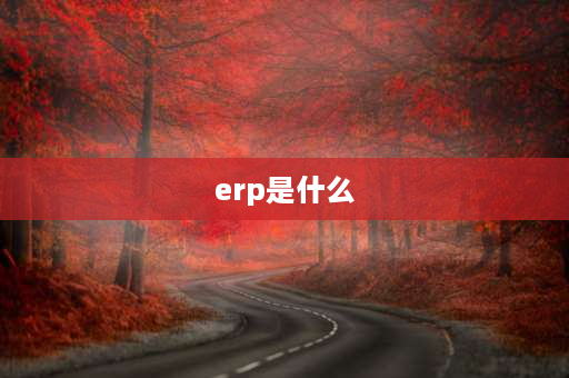 erp是什么 ERP什么意思？