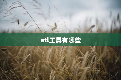 etl工具有哪些 ETL文件是什么？电脑里有60G的ETL文件，可以删么？