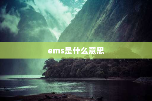 ems是什么意思 EMS是什么意思呢？