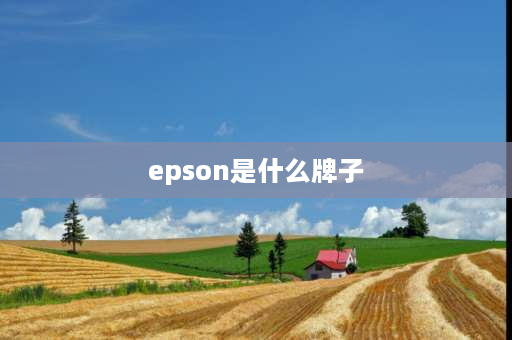 epson是什么牌子 epson是什么材质？