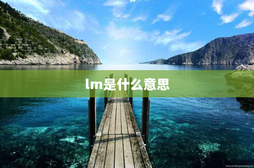 lm是什么意思 lm是什么单位？