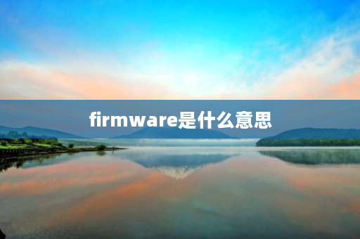 firmware是什么意思 传感器中hw和sw是什么意思？