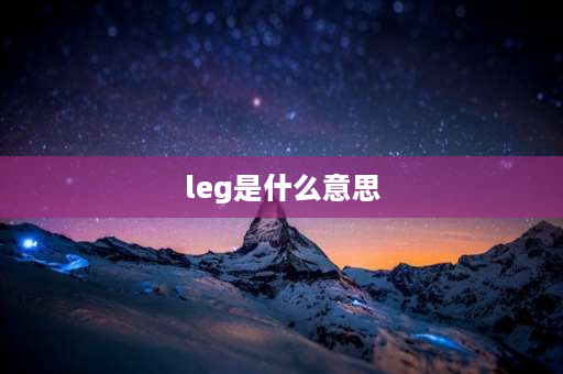 leg是什么意思 兆欧表leg的意思？