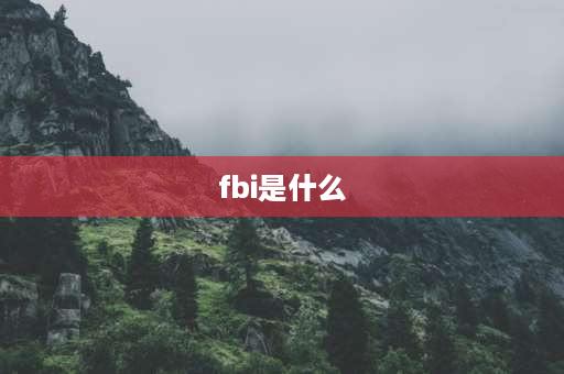 fbi是什么 CIA和FBI有什么区别？