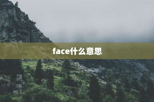 face什么意思 英语appearance和face的区别？