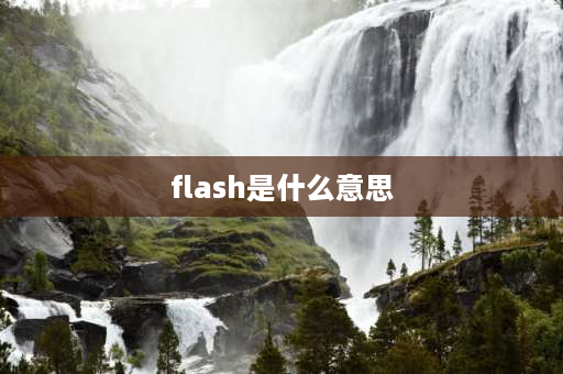 flash是什么意思 flare和flash的区别？