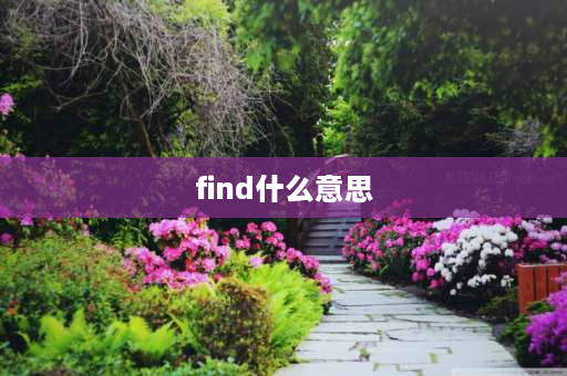 find什么意思 find的用法？