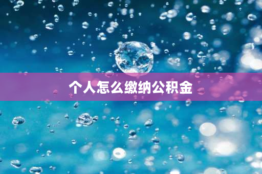 个人怎么缴纳公积金 个人如何自行缴纳公积金？