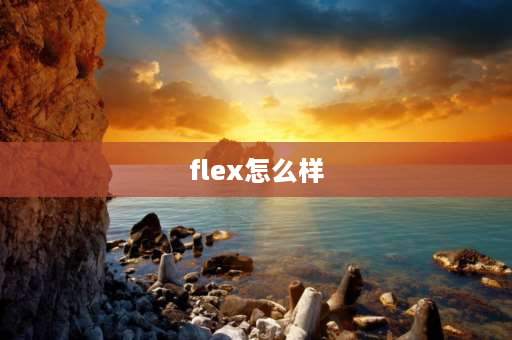 flex怎么样 flex电动工具怎么样？