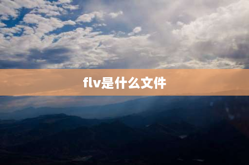 flv是什么文件 flv与mp4的区别？