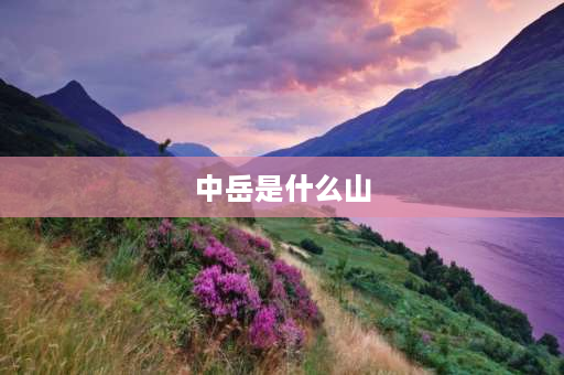 中岳是什么山 五岳中的中岳是哪座山？