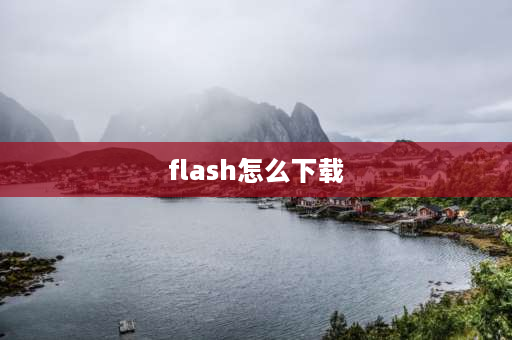 flash怎么下载 flash大厅版怎么安装？