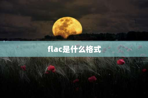 flac是什么格式 FLAC是什么音乐格式？