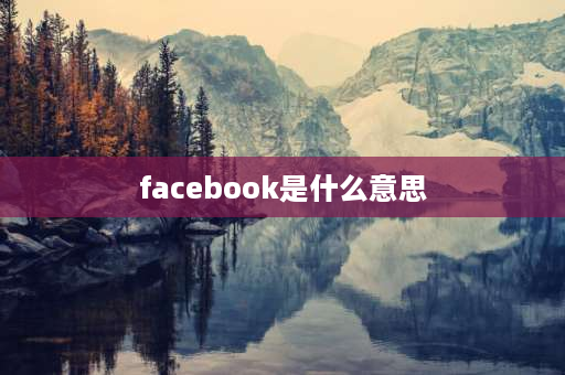 facebook是什么意思 facebook是什么意思，怎么翻译啊？