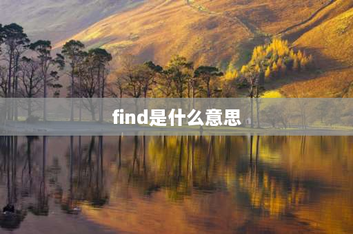 find是什么意思 search和find意思的区别？