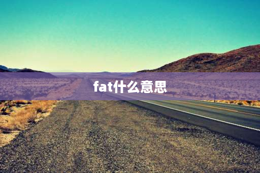 fat什么意思 fat是什么意思的缩写？