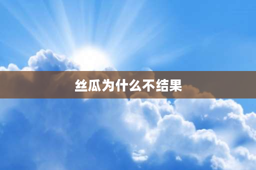 丝瓜为什么不结果 丝瓜不长是怎么回事？