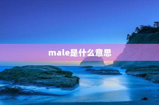 male是什么意思 male和female是什么意思？