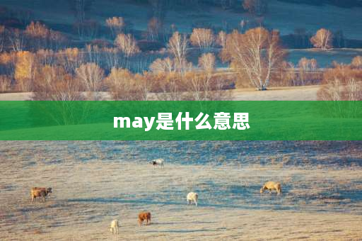 may是什么意思 may有我的意思吗？