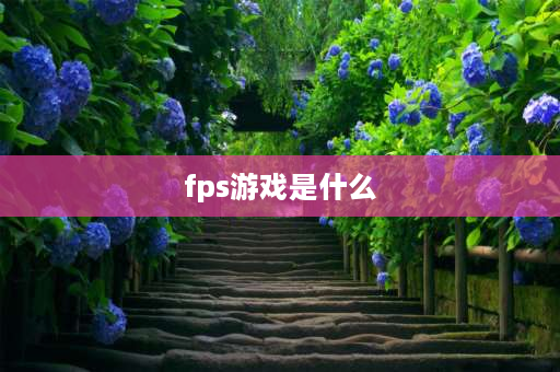 fps游戏是什么 游戏中fps是什么东西啊？