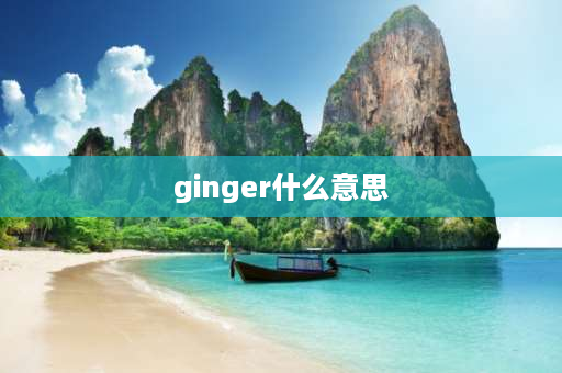 ginger什么意思 hair是什么颜色？