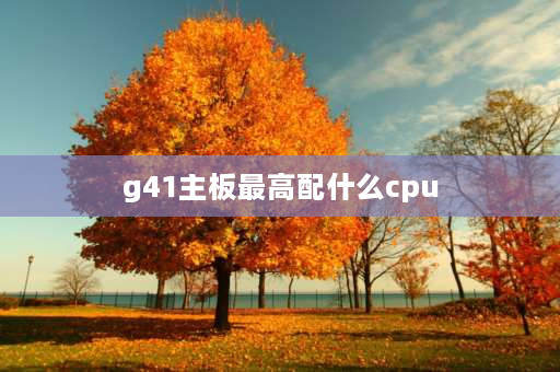 g41主板最高配什么cpu G41主板最高能插什么样的CPU？升级配置ing？