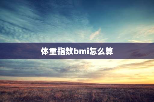 体重指数bmi怎么算 BMI咋算？