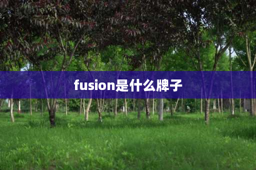 fusion是什么牌子 斐乐和斐乐fusion哪个贵？