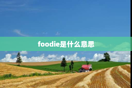 foodie是什么意思 英文词尾ee和ie区别？