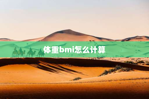 体重bmi怎么计算 BMI咋算？