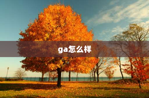 ga怎么样 ga洗发水怎么样？